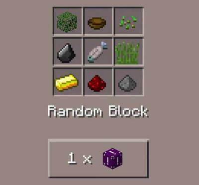 Random Block Mod For Minecraft PE