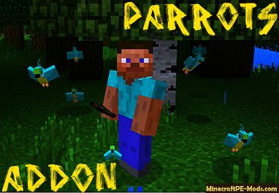 Parrot PC 1.12.2 For Minecraft PE Addon / Mod