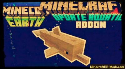 Realistic Dolphins Minecraft PE Bedrock Mod 1.2.6, 1.2.5