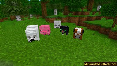 Plush Pets Minecraft PE Mod 1.5.0, 1.3.0, 1.2.16, 1.2.13
