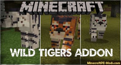 Wild Tigers Minecraft PE Bedrock Addon