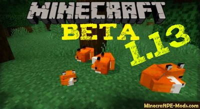 Download Minecraft PE Beta 1.13.0.2, 1.13.0.1 MCPE Free Version