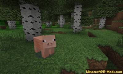 Faithful 64x Texture Pack for Minecraft PE iOS/Android 1 ...