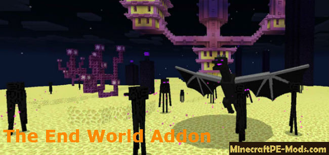 Dragon The End World Add On For Minecraft Pe 1 17 0 1 16 221 Download
