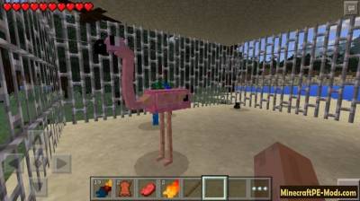 Birds Minecraft PE Mod For Android 1.1.0, 1.0.6, 1.0.5, 1.0.4, 1.0.0