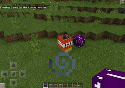 Random Block Mod For Minecraft PE