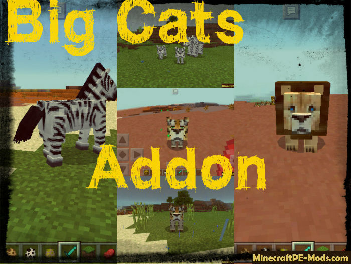 New Animals Big Cats Addon For Minecraft Pe 1 16 2 1 16 210 Download