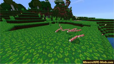 New Mob - Snake Minecraft PE Addon / Mod