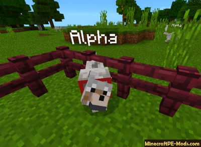 Animals Names Minecraft PE Mod / Addon 1.2.0, 1.1.5, 1.1.4