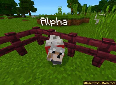 Animals Names Minecraft PE Mod / Addon 1.12.0, 1.11.1, 1.10.0 Download