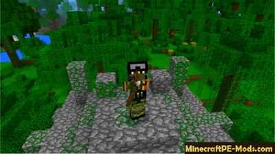 Minecraft PE 1.0.7, 1.0.8 or 1.0.9 What's next update?