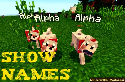 Animals Names Minecraft PE Mod / Addon 1.12.0, 1.11.1, 1.10.0 Download