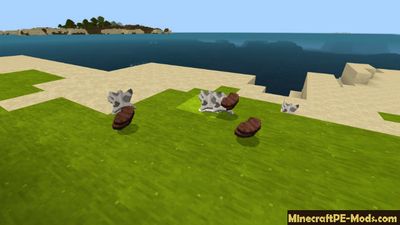 Easy Food Minecraft PE Mod 1.2.11, 1.2.10, 1.2.9, 1.2.8