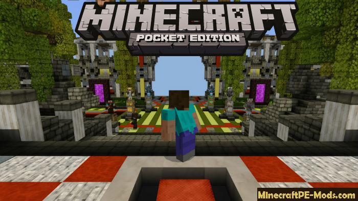 Pe address minecraft ip Best 1.16.5