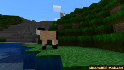MCPE 1.3.0 Concept Texture Pack For Minecraft PE 1.2, 1.1, 1.0