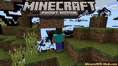 Xray Hack For Multiplayer Server MCPE Mod 1.2.0, 1.1.5, 1.1.0