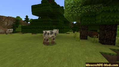 Minecraft PE 1.2 Beta 9 - ver. 1.2.0.31 APK Download