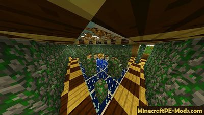 Network Mazes Minecraft PE Map