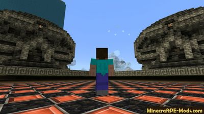 FBZ1 - Pigraid Minecraft PE Server