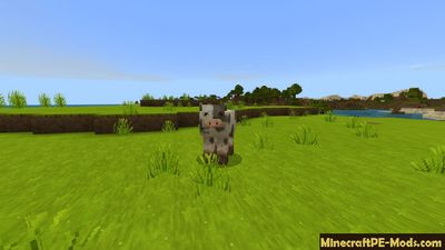 Download Minecraft PE iOS 1.2.1, 1.2.0, 1.1.7