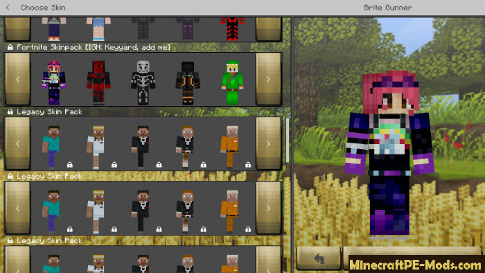 minecraft education skin pack download