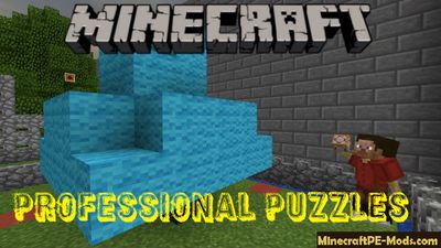 Professional Puzzles Minecraft PE Map