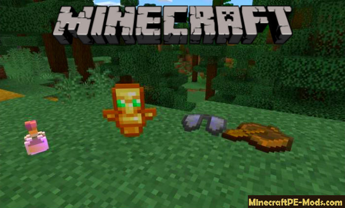 Place Me Items Mod Addon For Minecraft Pe 1 17 0 1 16 221 Download