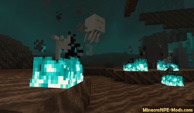 Download Minecraft PE Beta 1.16.0 (MCPE) APK free Version