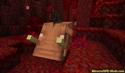 Download Minecraft PE Beta 1.16.0 (MCPE) APK free Version