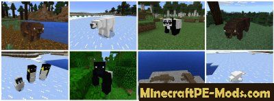Pocket Creatures Minecraft PE Mod 1.2.9.1, 1.2.8, 1.2.7, 1.1.0