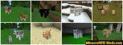 Pocket Creatures Minecraft PE Mod 1.2.0, 1.1.5, 1.1.1, 0.16.0