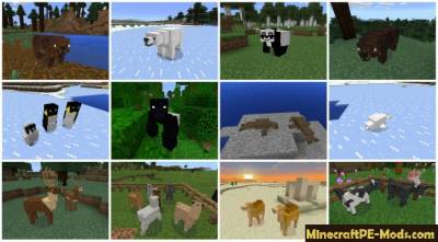 Pocket Creatures Minecraft PE Mod 1.2.7, 1.2.6, 1.2.0, 0.16.0