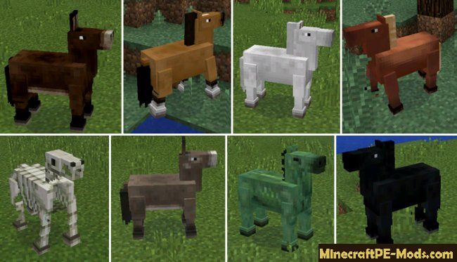 Horses Mod For Minecraft Pe Android 0 14 2 0 14 1 0 14 0 Download