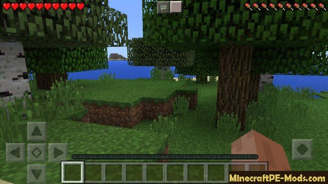 Pause Mod For Minecraft Pe 1 9 0 1 8 0 1 7 0 Ios Android Download
